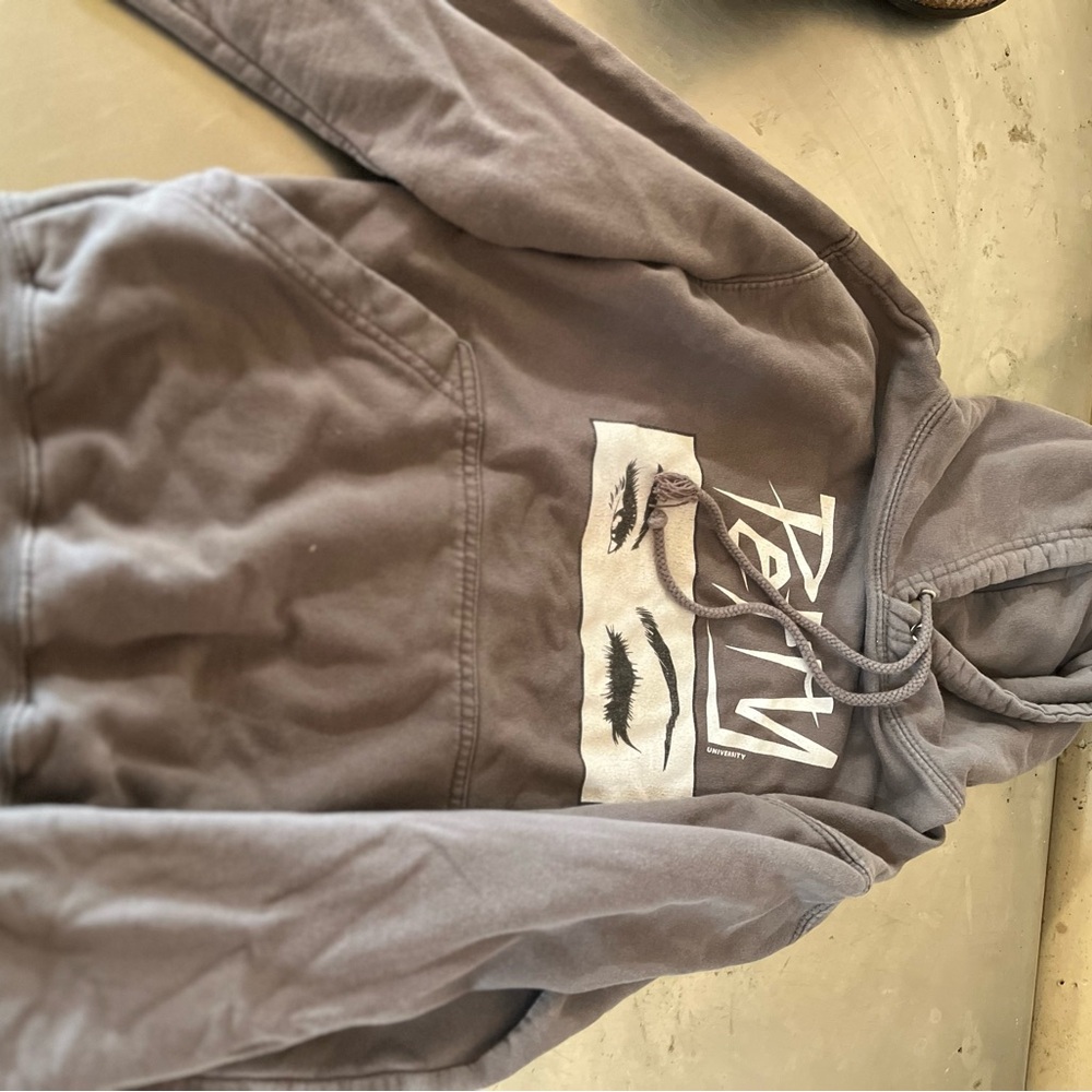 Swoop Petty university Gray Hoodie with Drawstring
